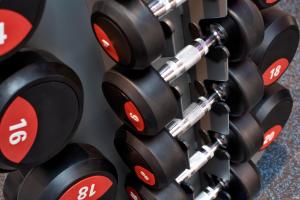 Fitness centrum a/nebo fitness zařízení v ubytování Blakemore Hyde Park