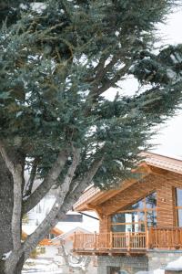 a large tree in front of a log cabin at Sport Hotel Prodongo in Brallo di Pregola