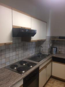 een keuken met een wastafel en een fornuis top oven bij D&E Rooms in Schwechat