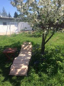 a steppingestone path next to a tree in a yard at D&E Rooms in Schwechat