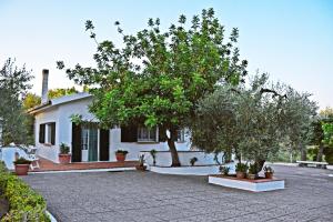 Zahrada ubytování Villa Il Carrubo - Basilicata