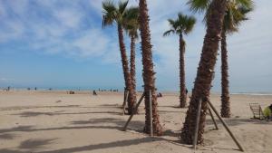 カネット・デ・ベレンゲルにあるApartamento Con Preciosas Vistas Al Mar,WIFI y piscina de temporadaの砂浜のヤシの木群