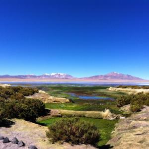 Foto dalla galleria di Cota6000 Expediciones Dpto A a San Pedro de Atacama