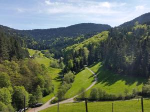 Galeriebild der Unterkunft Zuwälder Stüble in Oberharmersbach
