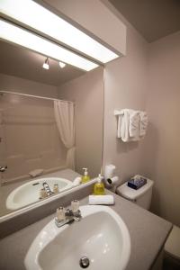 a bathroom with a sink and a tub and a mirror at Chalets Condos sur le Fjord in LʼAnse-Saint-Jean