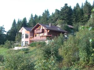 a house on the side of a hill with trees at Appartements 5 Personnes MAYA et LOUNA in Xonrupt-Longemer