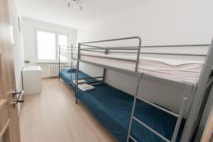 Cette chambre comprend 2 lits superposés et une fenêtre. dans l'établissement Apartament pracowniczy, à Stalowa Wola