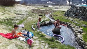 Goście zatrzymujący się w obiekcie Hvammur 1 with private hot tub