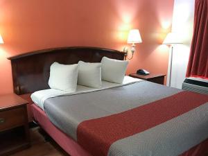 a hotel room with a bed with two pillows at Econo Lodge in Metter