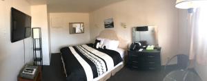 Gallery image of New Country Motel in Swan River