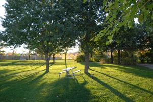 Zahrada ubytování Kings Inn Orillia