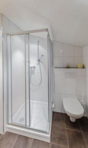 y baño blanco con ducha y aseo. en Haus Krömer, en Sankt Gallenkirch