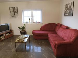 TV a/nebo společenská místnost v ubytování Lawendowa Galeria