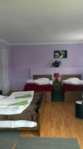 two beds in a room with purple walls and wooden floors at Nino Khetaguri Guest House in Stepantsminda