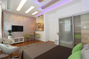 TV i/ili multimedijalni sistem u objektu New Belgrade Apartment IN