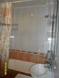モスクワにあるMoscow Garden View Apartmentのバスルーム(シンク、バスタブ、シャワー付)