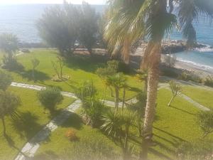 an aerial view of a park with palm trees and the ocean at Bordighera Fivestar in Bordighera +3 photos