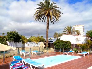 a swimming pool with chairs and a palm tree at bungalow Las TARTANAS I I in Maspalomas