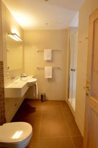 a bathroom with a sink and a toilet at Hotel St. Florian - Kaprun in Kaprun