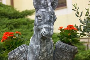 Tiere in der Ferienwohnung oder in der Nähe