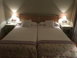Postel nebo postele na pokoji v ubytování Hotel Villa Monter