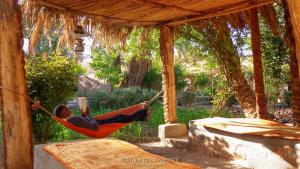 Foto dalla galleria di Riad Tabhirte a Agdz