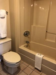 a bathroom with a toilet and a shower with a tub at Riverwood Inn in Glenwood