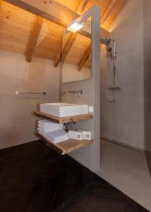 Bed & breakfast Hoeve Springendal tesisinde bir banyo