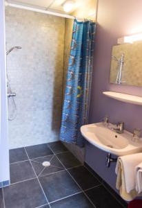 a bathroom with a sink and a shower at Hôtel de Bâle in Bantzenheim