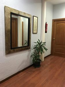 Fotografie z fotogalerie ubytování Hotel Pelayo v destinaci Barcelona