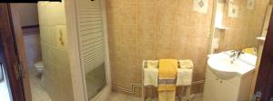 een badkamer met een douche en een wastafel bij Castelger in Vauciennes