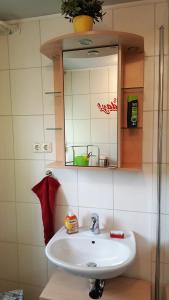 a bathroom with a sink and a mirror at Apartment Am Radweg in Wetzlar