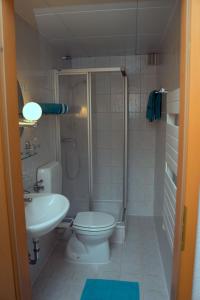 uma casa de banho com um WC, um chuveiro e um lavatório. em Gästezimmer Fuchs em Ramsthal