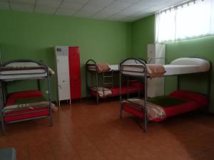 pokój z kilkoma łóżkami piętrowymi w pokoju zielonym w obiekcie Albergue O Bordón w mieście Cee