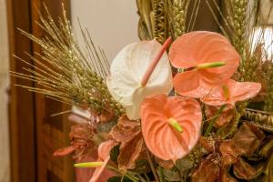 Fotografie z fotogalerie ubytování Hotel Forte v Římě