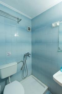 ein Bad mit einer Dusche, einem WC und einem Waschbecken in der Unterkunft Ormos Drepanou Apartments in Lygia