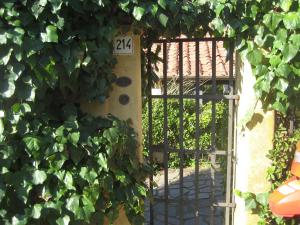 Vonkajšia záhrada v ubytovaní B&B Villa Panicucci