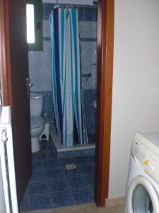 a bathroom with a shower curtain and a toilet at Vegera Apartment M in Vasilikiádhes
