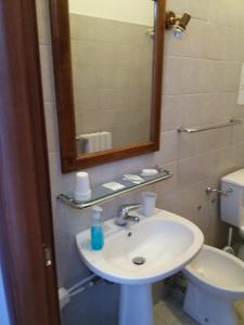 ein Badezimmer mit einem Waschbecken, einem Spiegel und einem WC in der Unterkunft ostello ortensi in Farnese