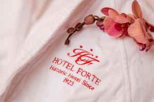 Certifikát, hodnocení, plakát nebo jiný dokument vystavený v ubytování Hotel Forte