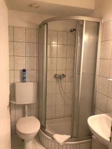 a bathroom with a shower with a toilet and a sink at Hotel-Pension Asta in Munich +23 photos