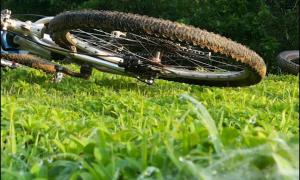 a bike laying in the grass in a field at Moonshadow in Sungai Kolok
