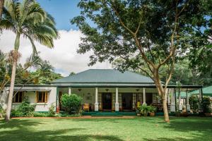 a house with a green roof and palm trees at York Lodge in Harare