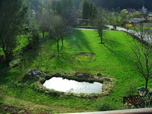 Příroda nedaleko bed and breakfast