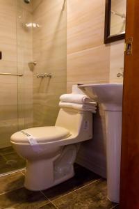 y baño con aseo, lavabo y ducha. en Hotel LB - Los Balsos, en Pasto
