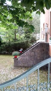 Grillenburg的住宿－Pension am Tharandter Wald，围栏旁院子中的石墙