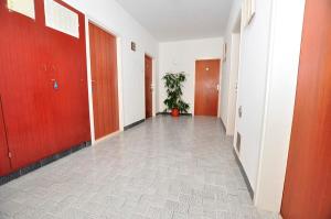un couloir vide avec une usine de pot dans un bâtiment dans l'établissement Apartmani Ivana & Toni, à Gradac