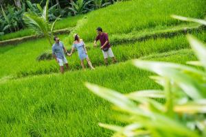 Foto dalla galleria di Adiwana Dara Ayu Villas a Payangan