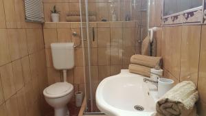 a bathroom with a white toilet and a sink at Apartments Dora in Crikvenica +57 photos