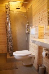 a bathroom with a toilet and a shower and a sink at Midholl guesthouse in Ásmundarstaðir